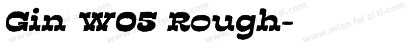 Gin W05 Rough字体转换